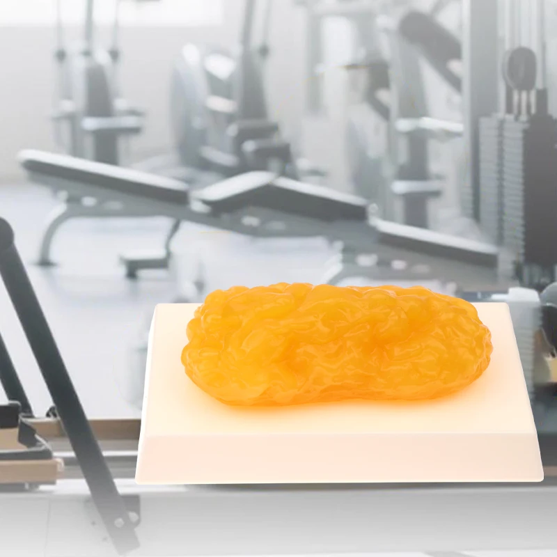 

1lb Fat Replica Fatty Tissue Model Human Body Simulation Demonstration Tool for Nutritionists And Science Courses