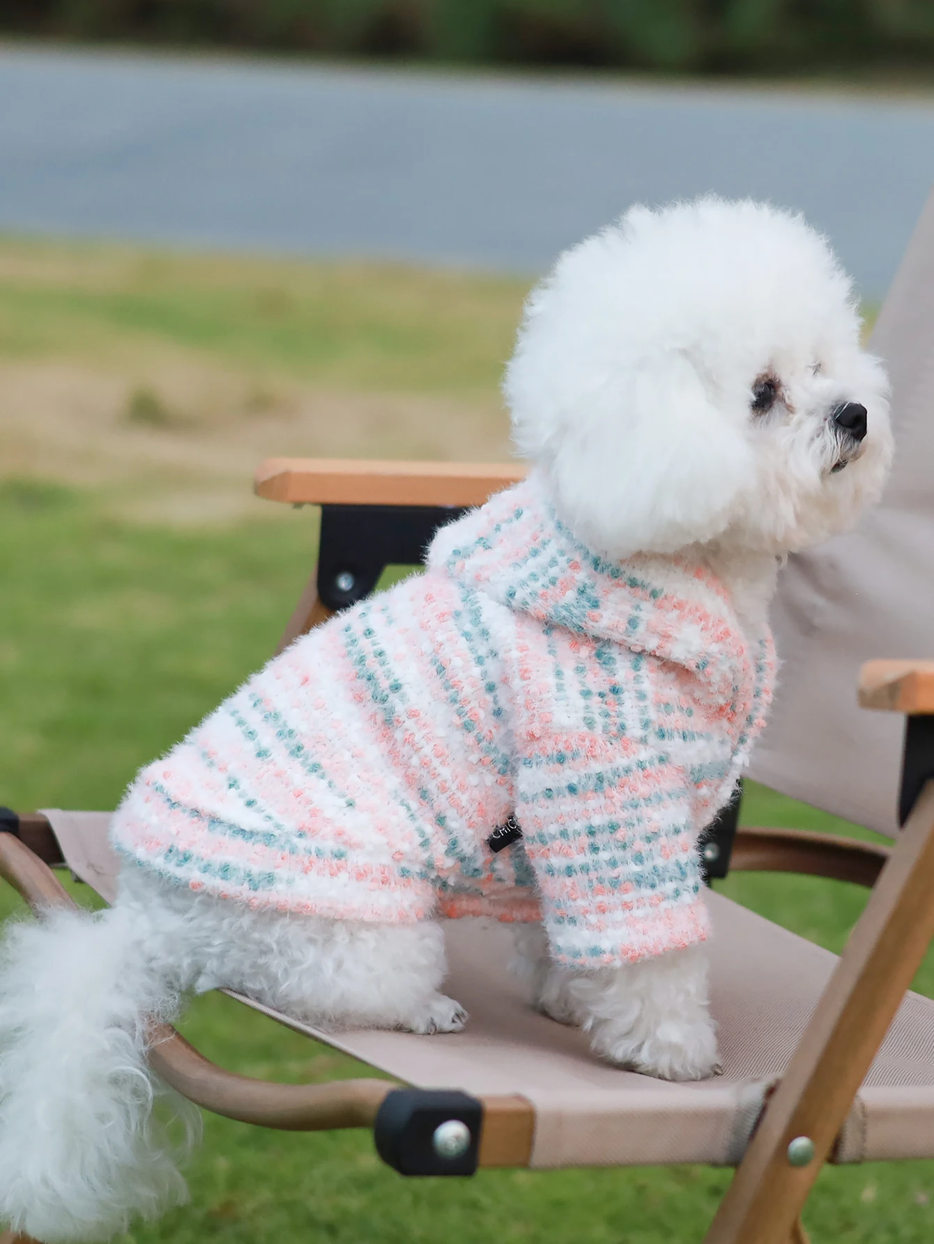 Sudadera con capucha para perro con sombrero en ambos pies, ropa de moda para mascotas Yorkshire Xishi, adecuada para primavera y otoño, cachorro de cuerpo pequeño