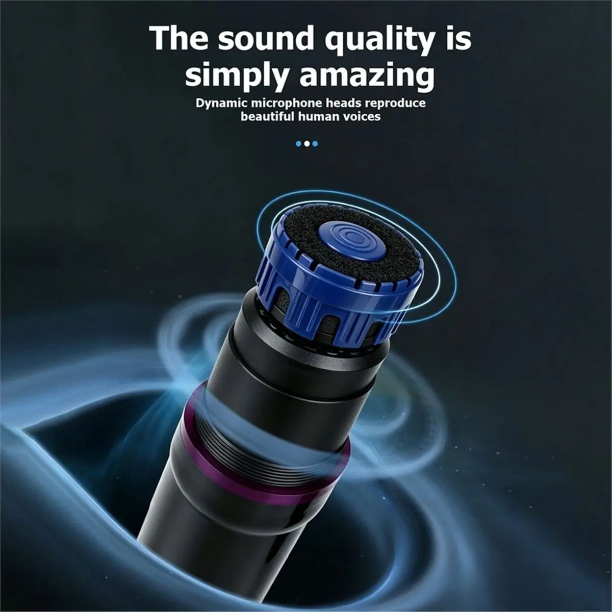 newA10R Professional Karaoke Mic Handheld Professional Wired Dynamic Microphone for Vocal Music Performance -S81