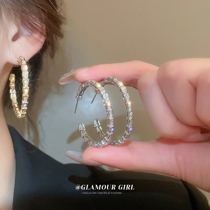 Wrap Snake Earrings for Girl Fashion Jewelry Ear Sutds Circle Stud Earrings Female Versatile Earring Jewellery aretes Gift