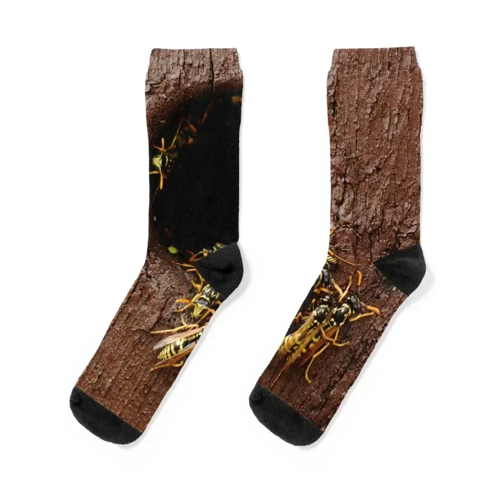 

Wasps nest in the wood hole - aggressive wasps going out from the nest Socks funny gifts floral Men's Socks Luxury Women's