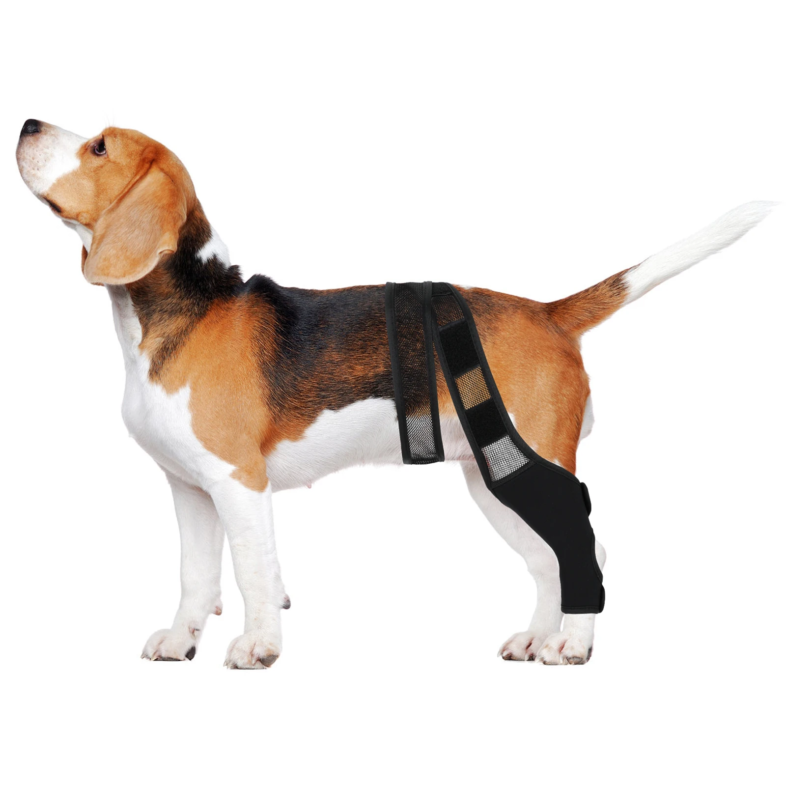 

Pet Leg Stand Puppy Brace Acl Sleeve for Dog Comfortable Knee Protector Neoprene Dogs Fabric Braces