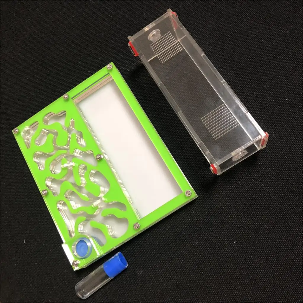 Acrylic Test Tube Ant Farm 4