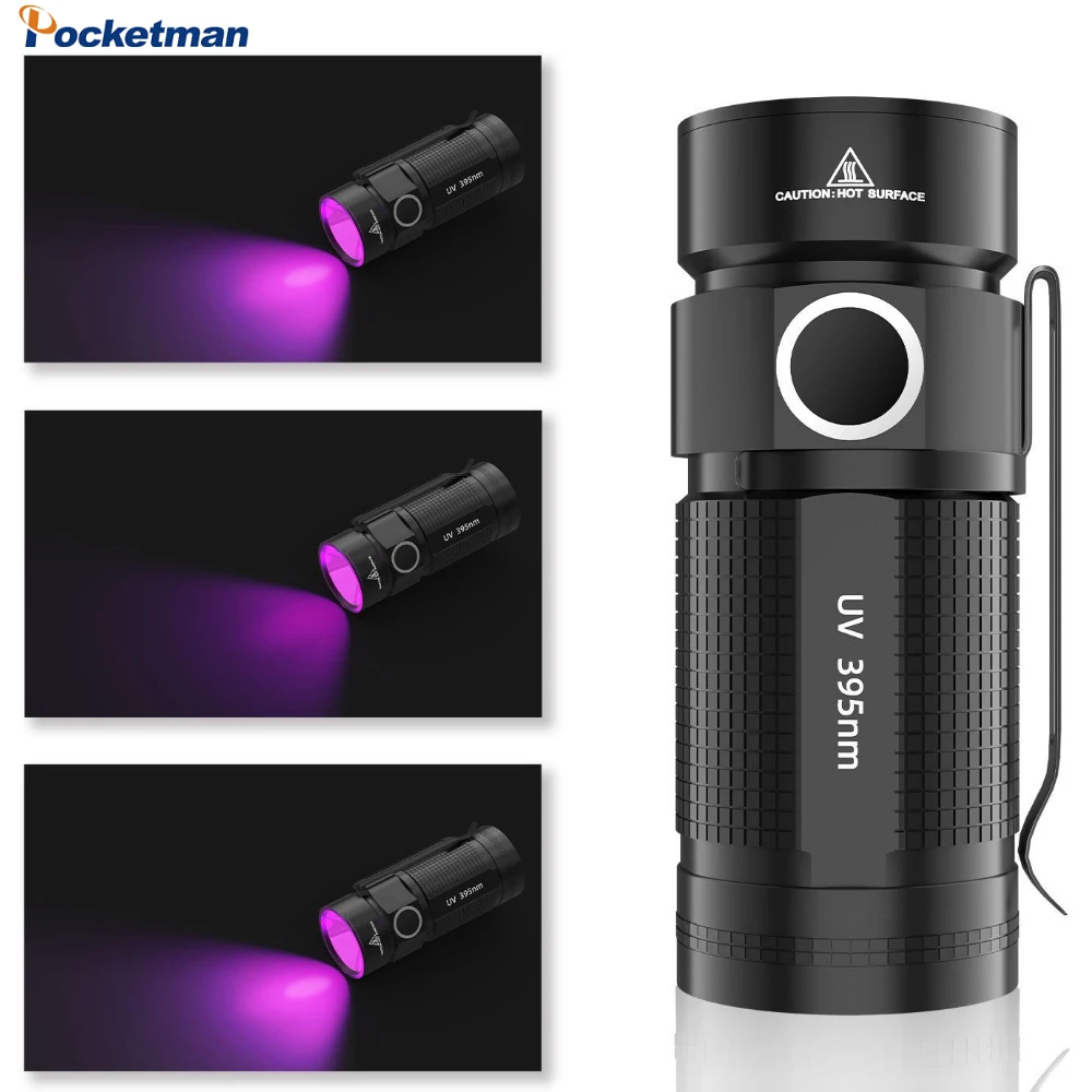 Small Pocket UV Flashlight UV 395mn Light Portable Mini Waterproof Keychain Torch Domestic Detection Pet Urine Stains UV Lantern