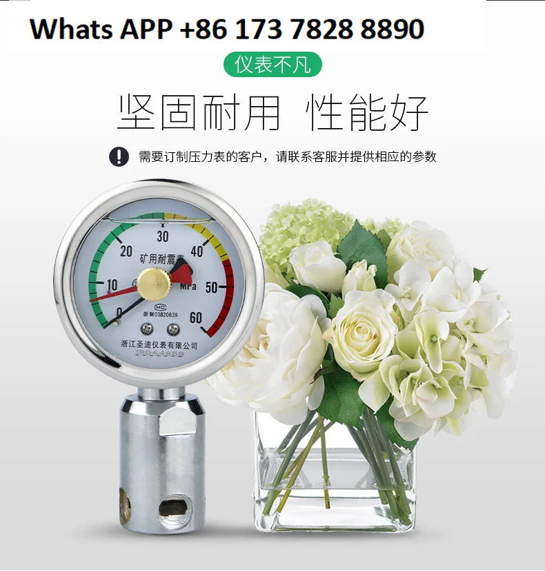 

Производитель источника Шахта Взрывозащищенный противоударный манометр BZY-60A Мембранная шахта Двойная игла Противоударный