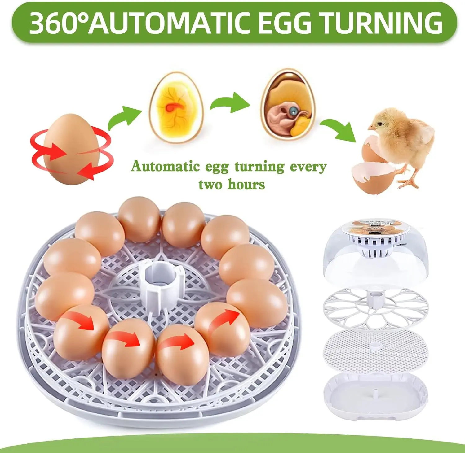 KLYM-Automatic Egg Incubators, 12 Egg Incubators, Temperature Control, Automatic Incubator, Hatches, Quails, Ducks Catchers