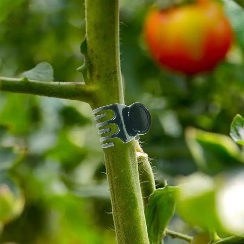 Plant Clips For Support Plant Clips Flower Plant Clamps 100X Garden Clip Tomato Clips Climbing Plants Clips For Flower Vine