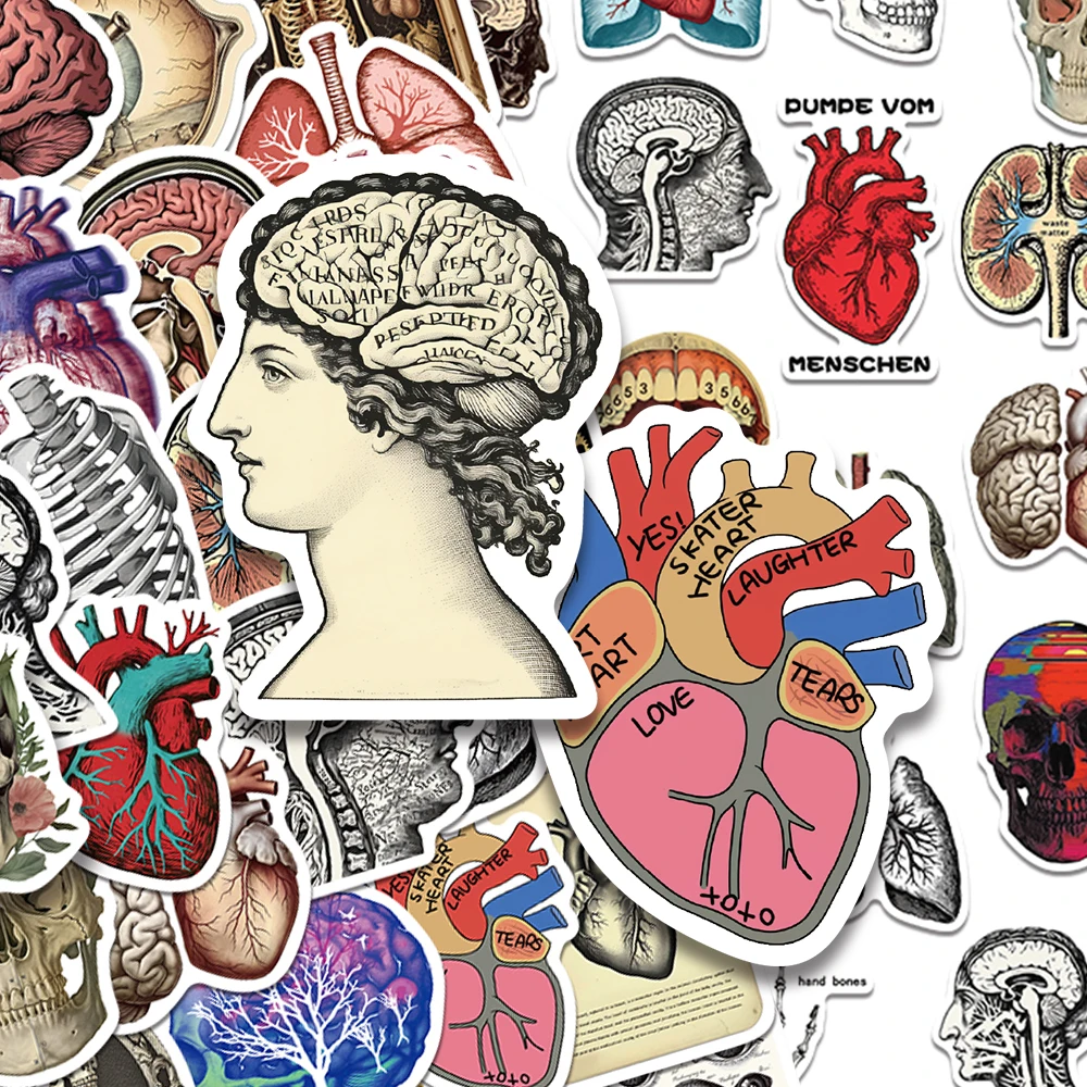 50pcs Retro Scientific Anatomy Stickers For Phone Laptop Scrapbook Suitcase DIY Aesthetic Waterproof Stickers Creative Gifts