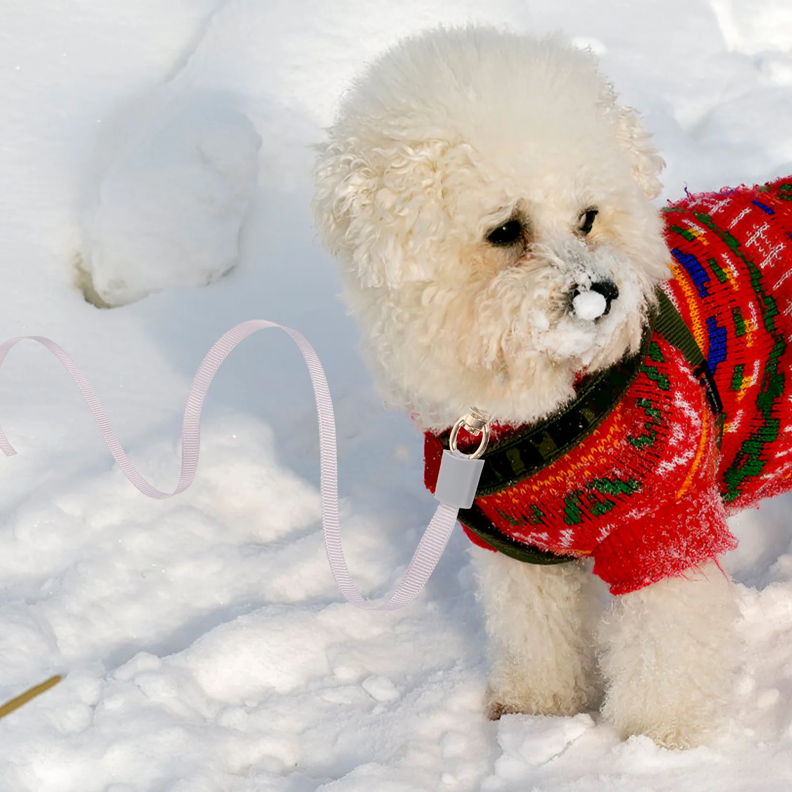 

Mini Dog Retractable Leash For Pet Supply Small Dogs Walking Training Outdoor Use Small Mini Dog Leash Pet Supply