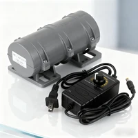 Mini motor vibratorio portátil 12V/24V 3800rpm 10W para sistemas de advertencia Cama de masaje Vibrador regulador de velocidad (con fuente de alimentación)