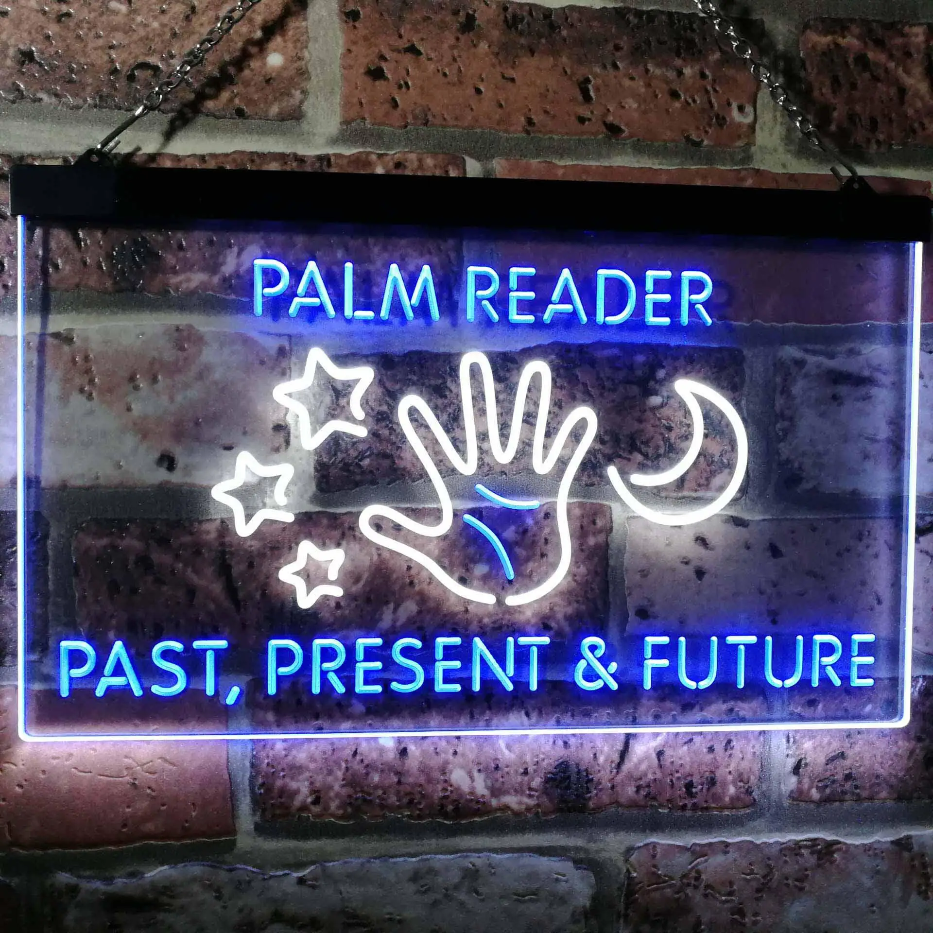 

Palm Reader Present Past Future Dual Color Led Neon Sign st6-i3119