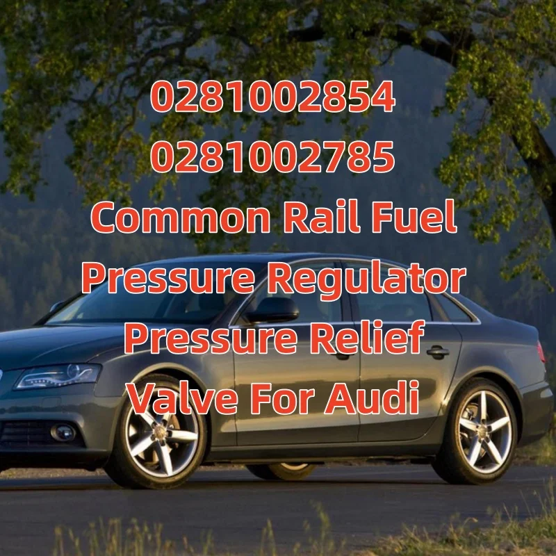 0281002854 0281002785 Common Rail Fuel Pressure Regulator Pressure Relief Valve For Audi A4 A6 A8 Q7 057 130 764F 057130764F