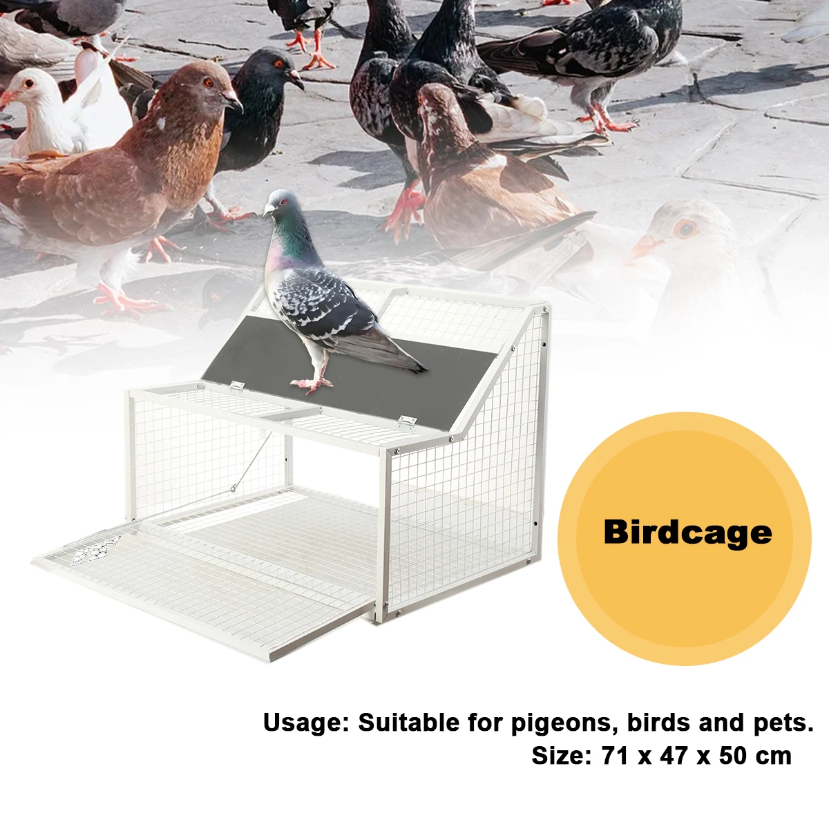 Metall-Taubeneingangskäfige 60/70 cm Sprungkäfig Taubenzubehör Nur Käfige und kein Ausgang Automatisches Taubensammelwerkzeug – Detail 29