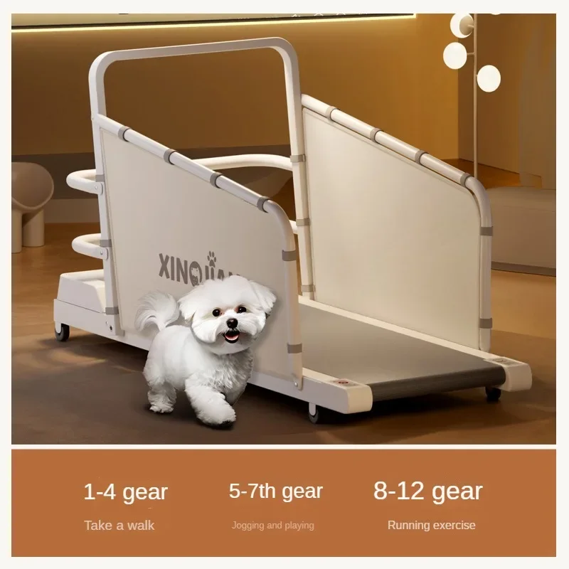 Dog Treadmill Canine Cat Treadmill Bichon Teddy Corgi Pet Treadmill Small and Medium Dog Walker