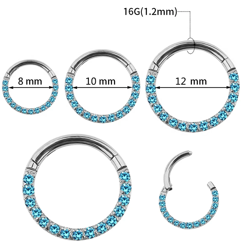 G23 Titanium Hinged Segment Hoop Nose Ring Earring