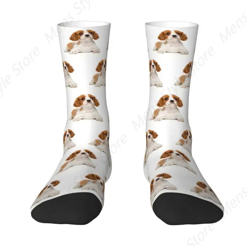 Cavalier King Charles Spaniel Puppy Mens Crew Socks Unisex Fun 3D Printing Pet Dog Dress Socks