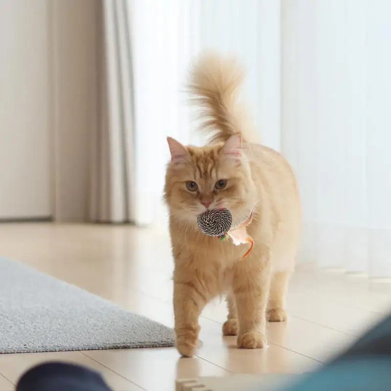 Cat Feather Ball Toy Soft Cat Toy Funny Cat Ball Cat Teaser Toy Kitten Teething Toy Cat Feather Toy For Cat Teasing Hunting
