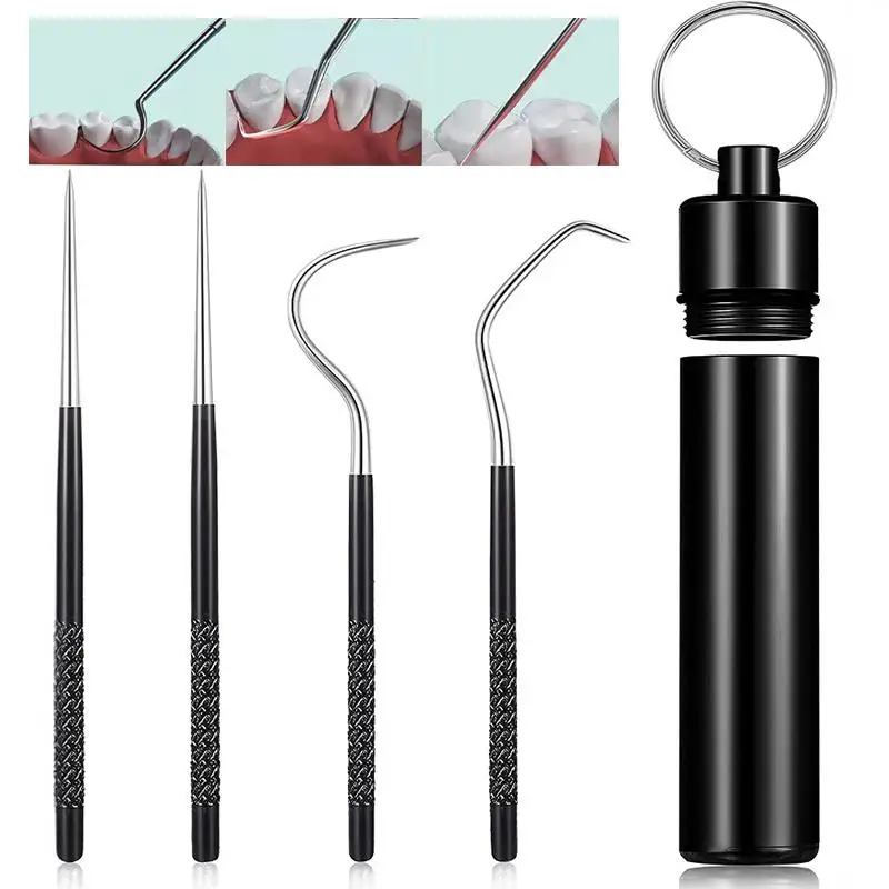 

3/4pcs/Set Stainless Steel Toothpick Set Tooth Flossing Reusable Toothpicks Portable Toothpick Floss Teeth Cleaner Oral Cleaning