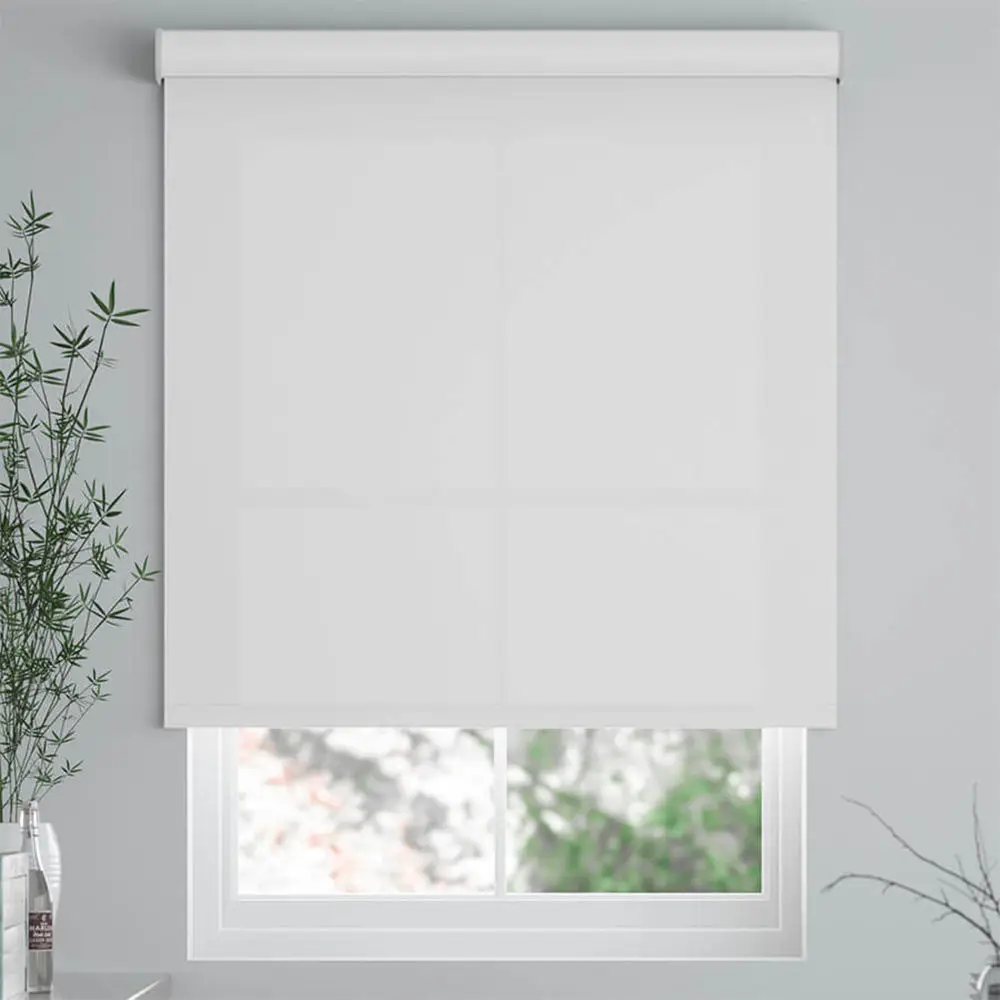 High Quality Light Filtering Automatic Ready To Ship Roller Blind Smart Control Dual Blinds Roller Shade