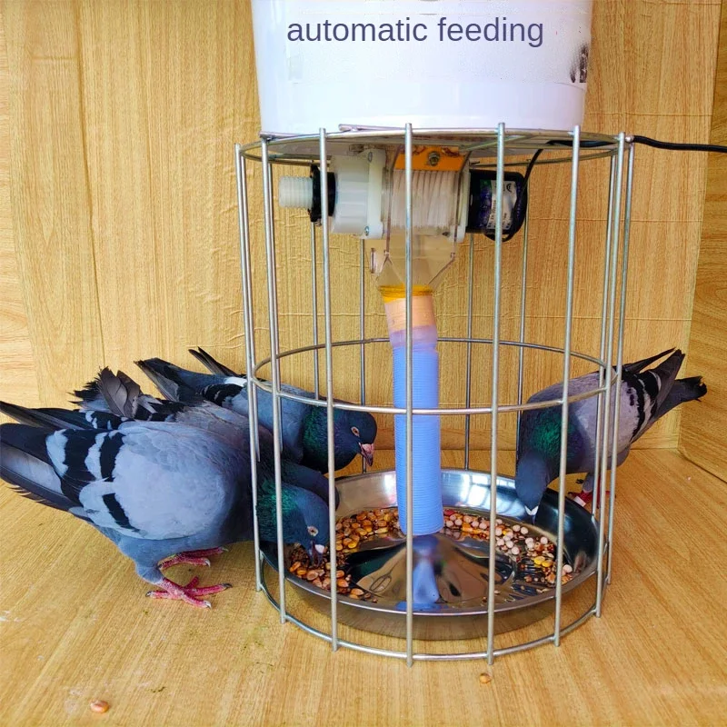 Mangeoire automatique pour pigeons de volaille, alimentation à distance, synchronisation d\'alimentation intelligente, qualité puissante, 220V