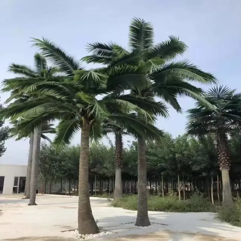 Factory Artificial Coconut Trees Outdoor Large Coconut Tree Artificial for Decoration Indoor Simulated Trees