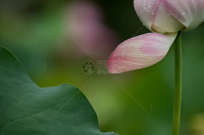 

Электрический внедорожник-скалолаз 1:16, перезаряжаемый, 4WD, для WPL C64-1 1/16 2.4G