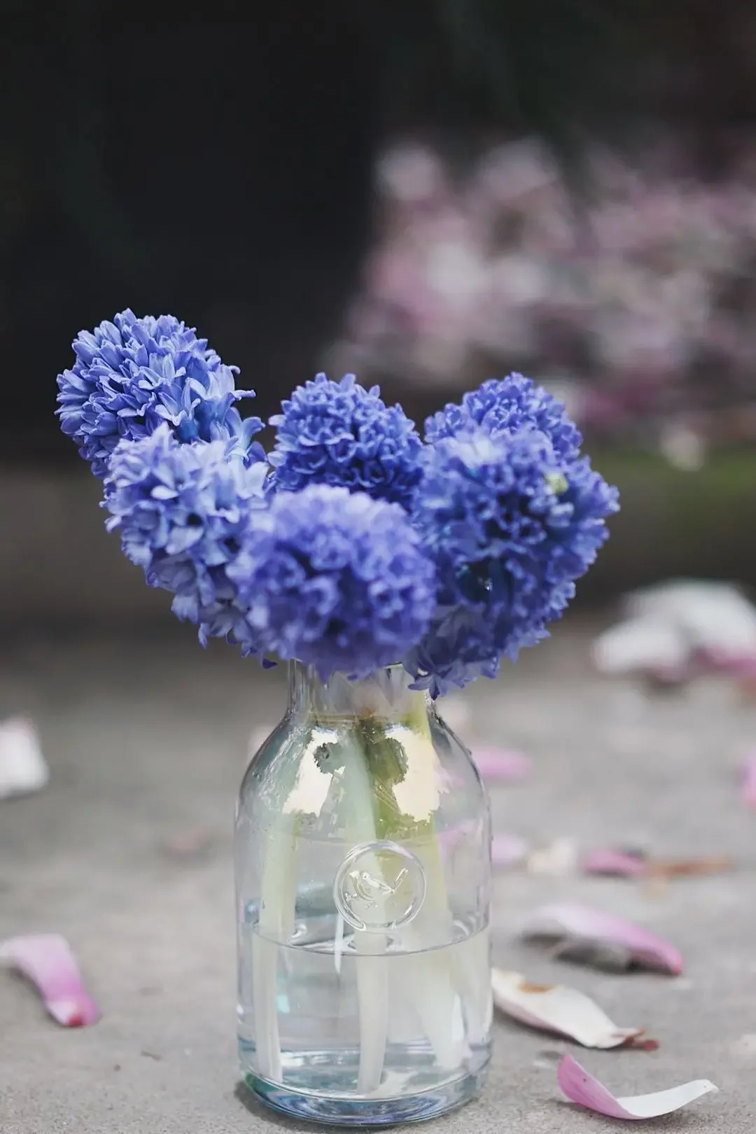 Decor Home Living Room Decoration Decoration Accessories Glass Fruit Minimalist House Grand Pots for Plants Flower Vase