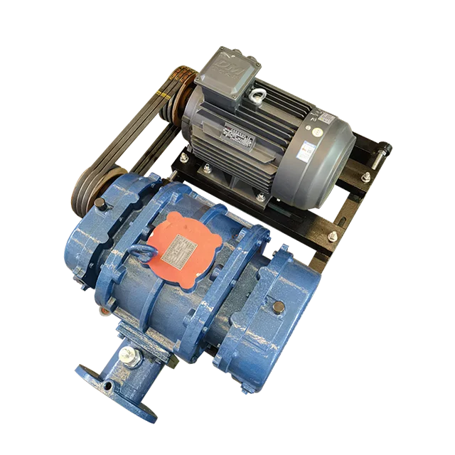 RSR Series Three Impellers Roots Blower Used for Waste Water Treatment Lobe Blower Equipment