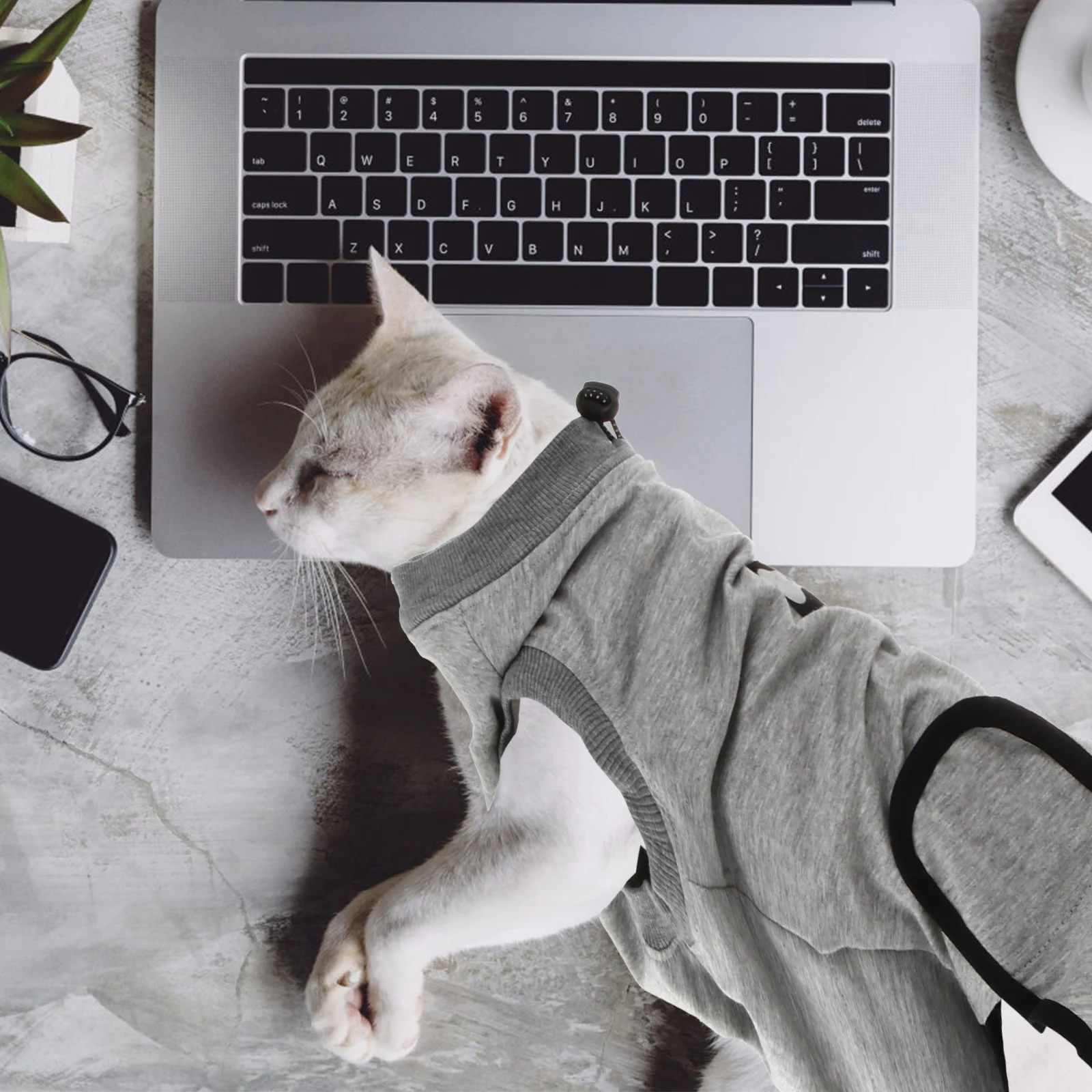 

Cat Sterilization Suit Soft Cotton Recovery Gown Prevent Licking Biting Wounds Bandage Protection Pet Accessories Dog Supplies