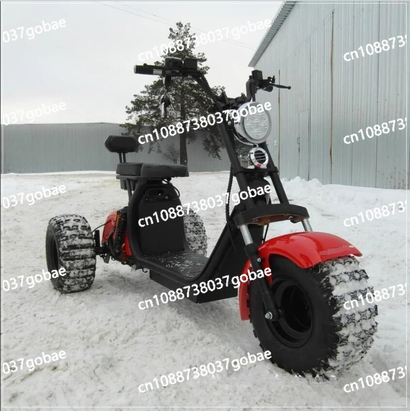 

Intelligent Adult Three-wheeled Electric Vehicle, Walking Electric Battery Car