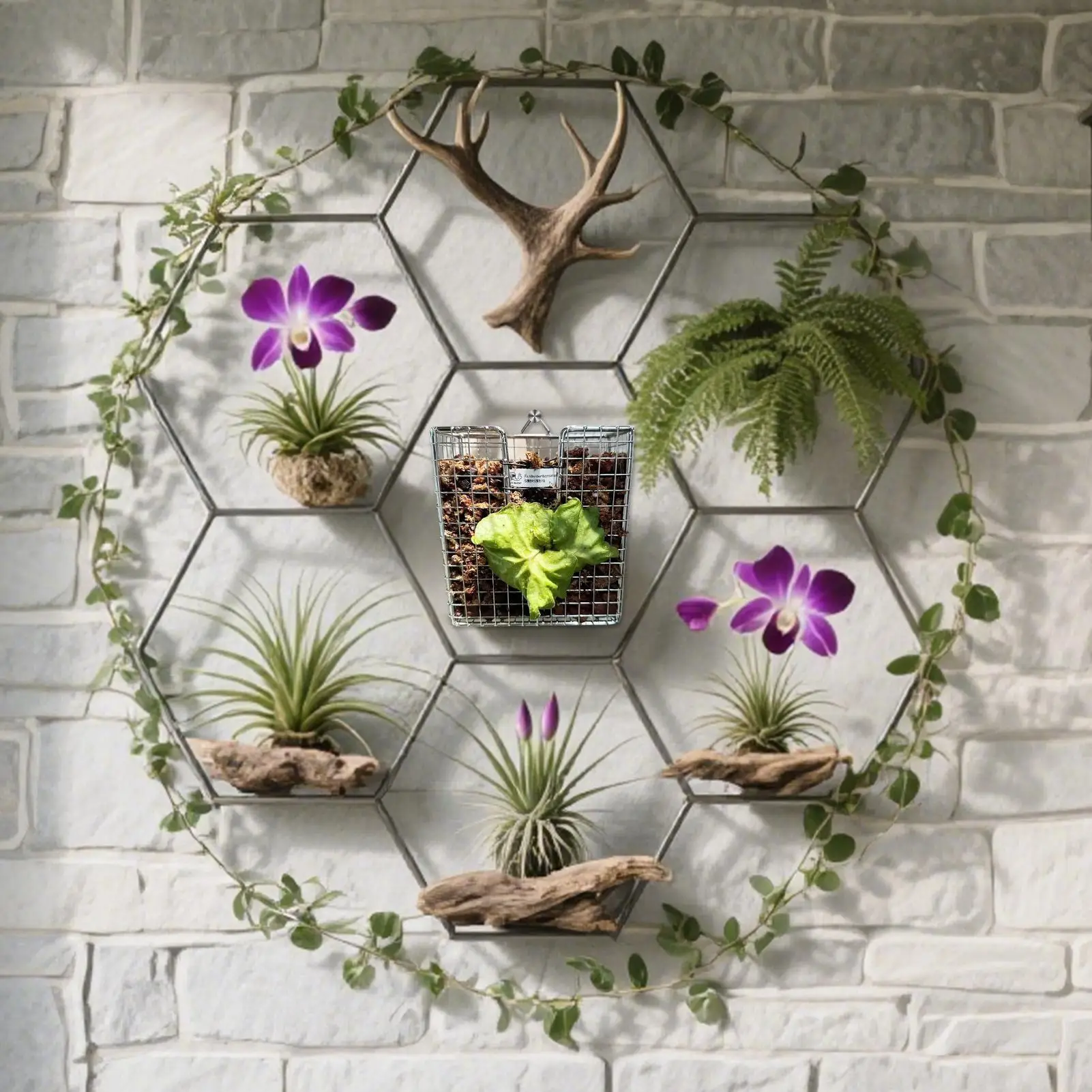

Wall Mount Planter Rustproof Metal Planter For Plants Wall Mount Frame Kit Orchids Basket Vertical For Porch Bedroom Garden Home