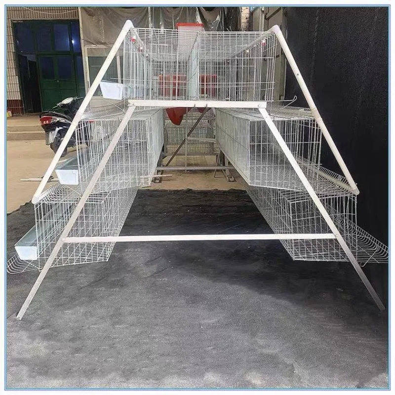 egg chicken cage breeding farm dedicated chicken ladder type egg chicken breeding equipment, complet