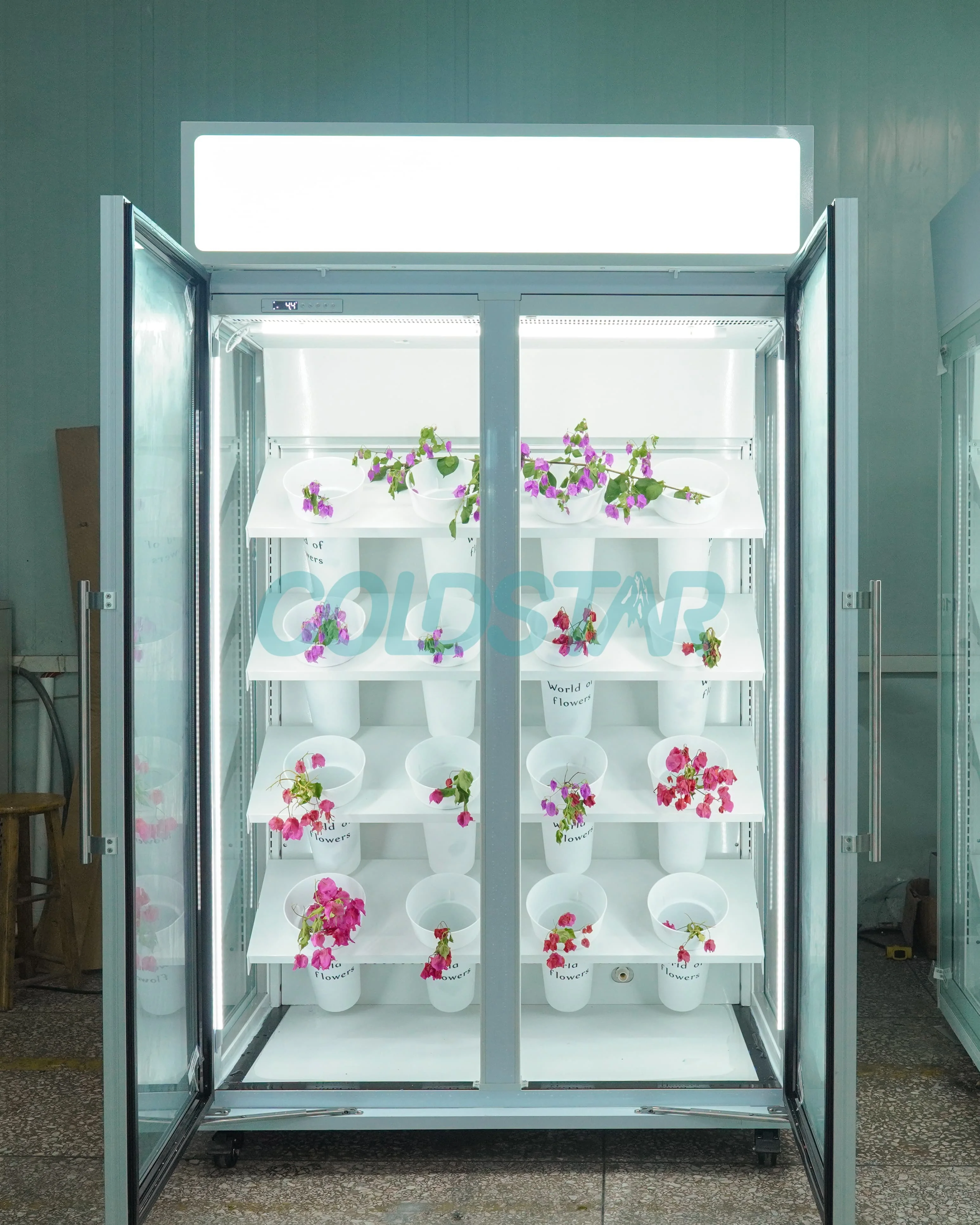 Commercial Single-Temperature Flowers Refrigerated Display Cabinet Tempered Glass Door Digital Control Automatic Defrost