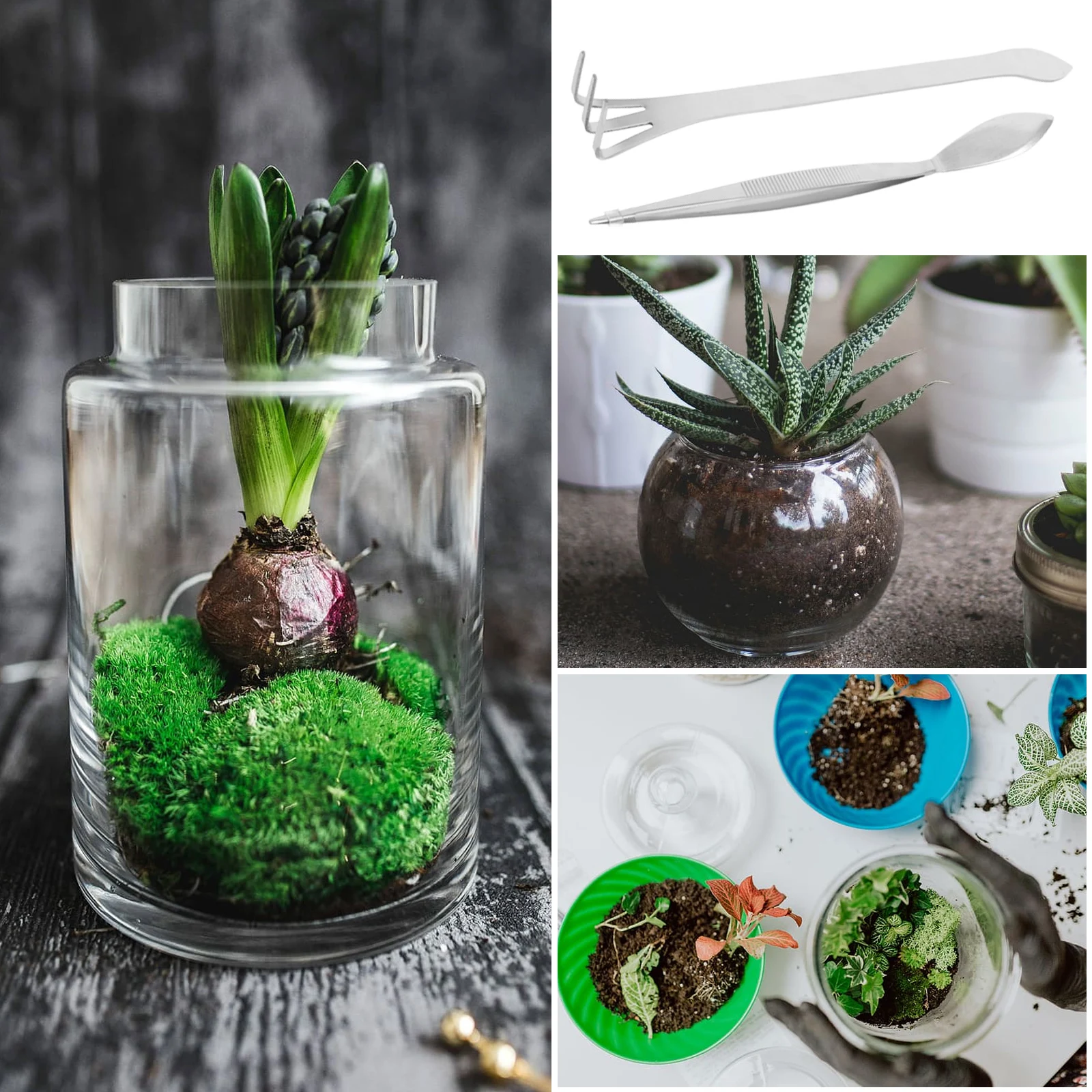 

1Set Bonsai Tweezers Rake Professional Stainless Steel Gardening Tools Plant Tweezers Moss Removal Bonsai Soil Loosening Tool