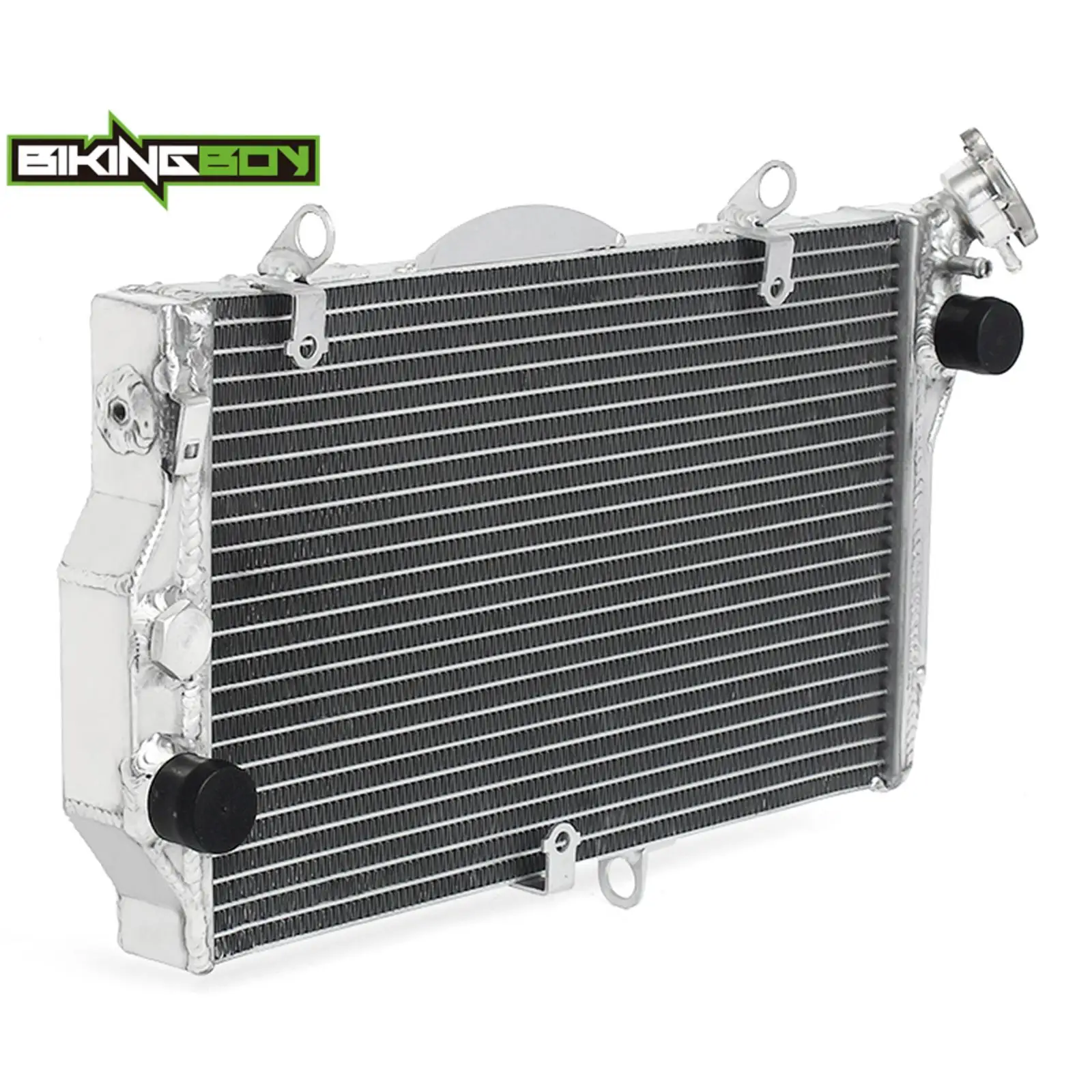 BIKINGBOY For Honda CBR1100XX Super BlackBird 97 98 99 00 01 02 03 04 05 06 07 Engine Radiator Cooling CBR 1100 XX Water Cooler