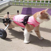 Cat Wheelchair Car Paralyzed Fracture Pet Hind Leg Spine Injury Rehabilitation Training Car Hind Limb Disability Stroller