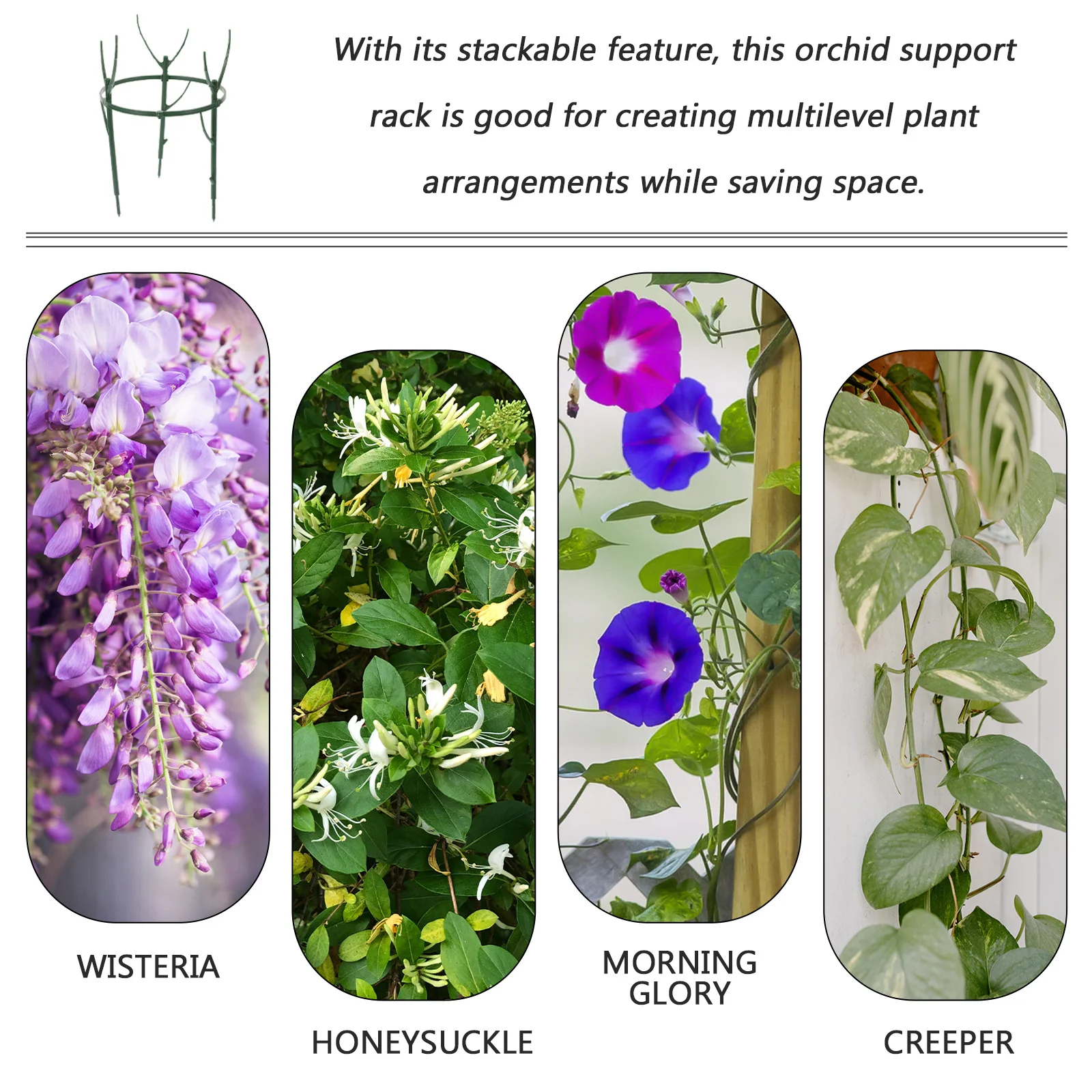 

Twig Trellis Detachable Plant Support Stake Indoor Outdoor Garden Supplies Sturdy Materials Multilevel Arrangements