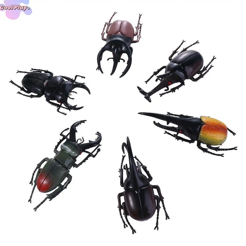 

Non-Toxic Fake Beetle Kids Insect Toy Simulation Animals Insect Model Beetle Toys Simulation Beetle Special Lifelike Model