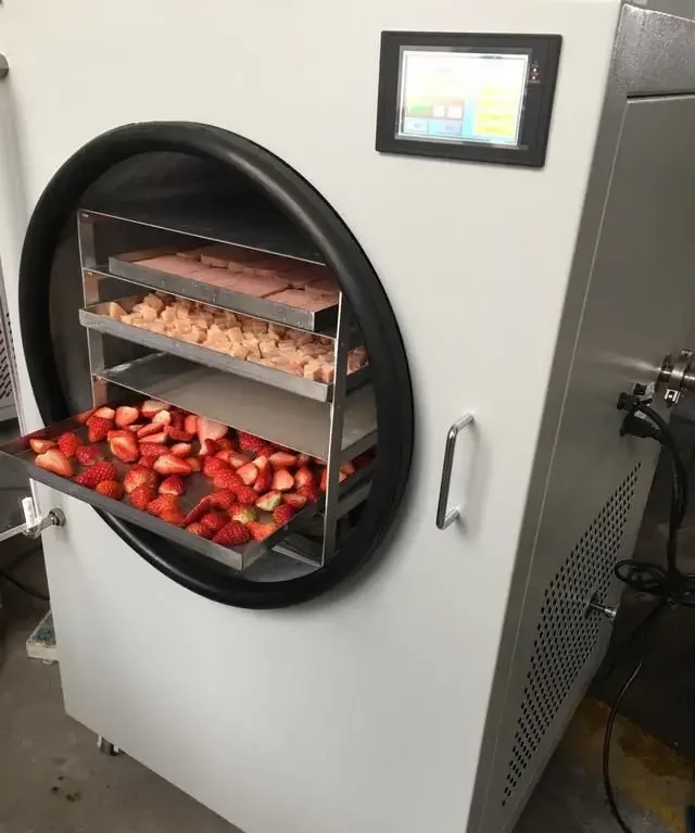 

Factory Direct Sales Home Use Mini Home Food Fruit Vacuum Dryer Equipment