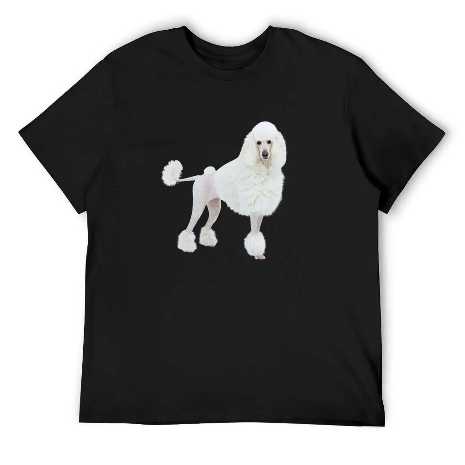 dog big royal white poodle with lion haircut T-Shirt anime tshirt rapper graphic tees vintage t shirts black t shirts for men