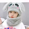 csxtz gray