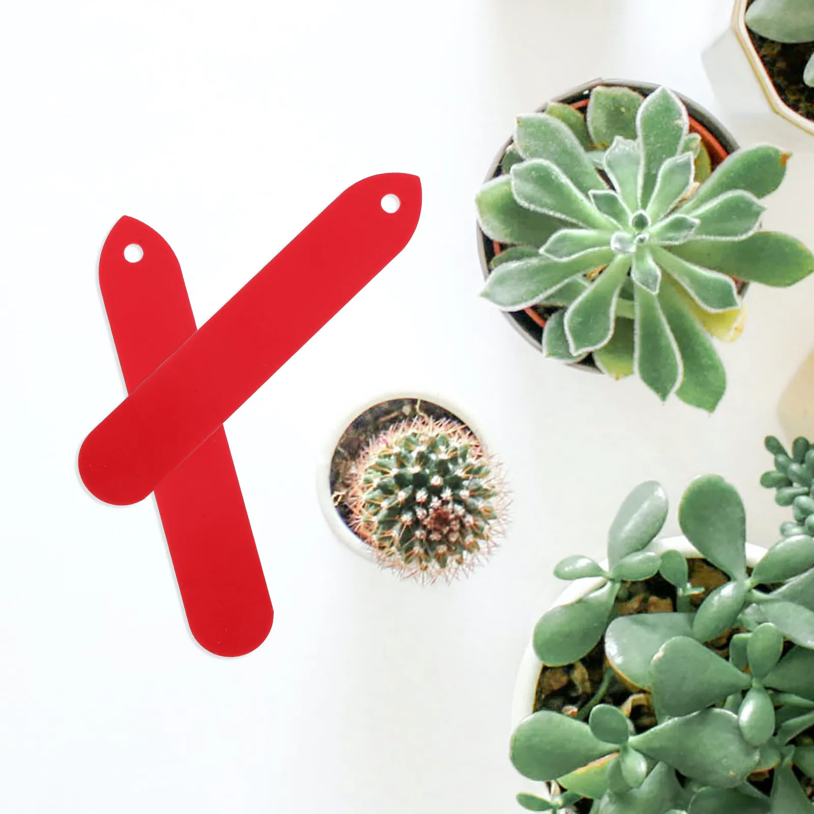 100Pcs Garden Plant Labels Punched Plastic Waterproof Sunproof Reusable Plant Markers Flower Herb Identification Outdoor Nursery