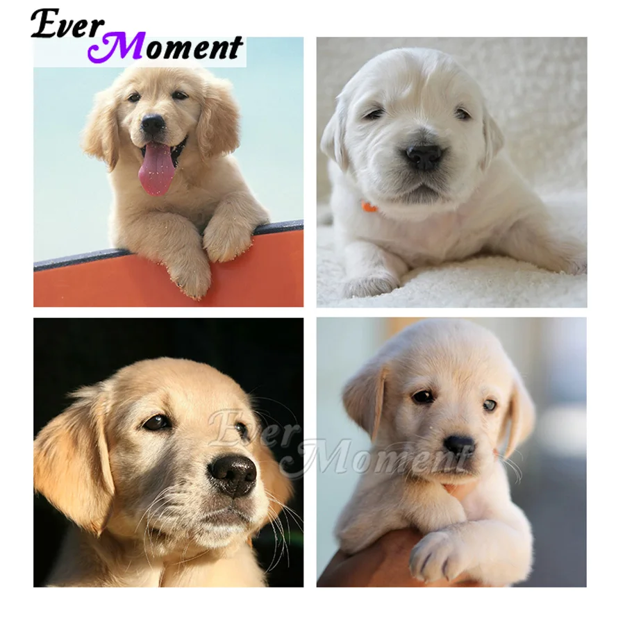 Ever Moment Diamond Painting Modern Canvas Mosaic Handmade Wall Decoration Pet Puppy Dog Golden Retriever Needlework DIY ASF2380