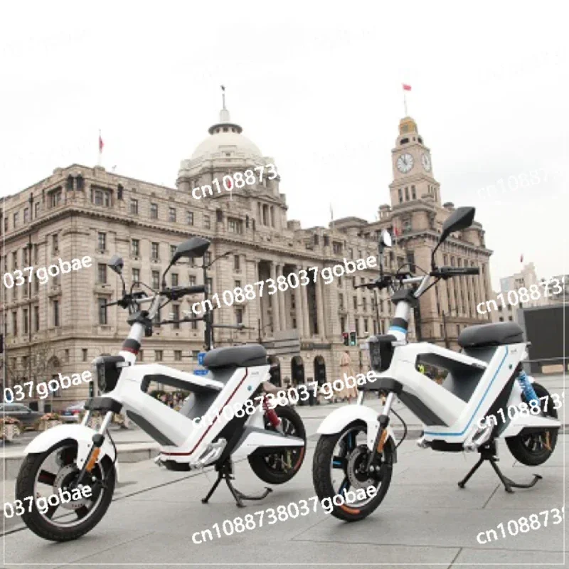 Environmental Protection Hydrogen Fuel Cell  Energy Electric Bicycle/motorcycle