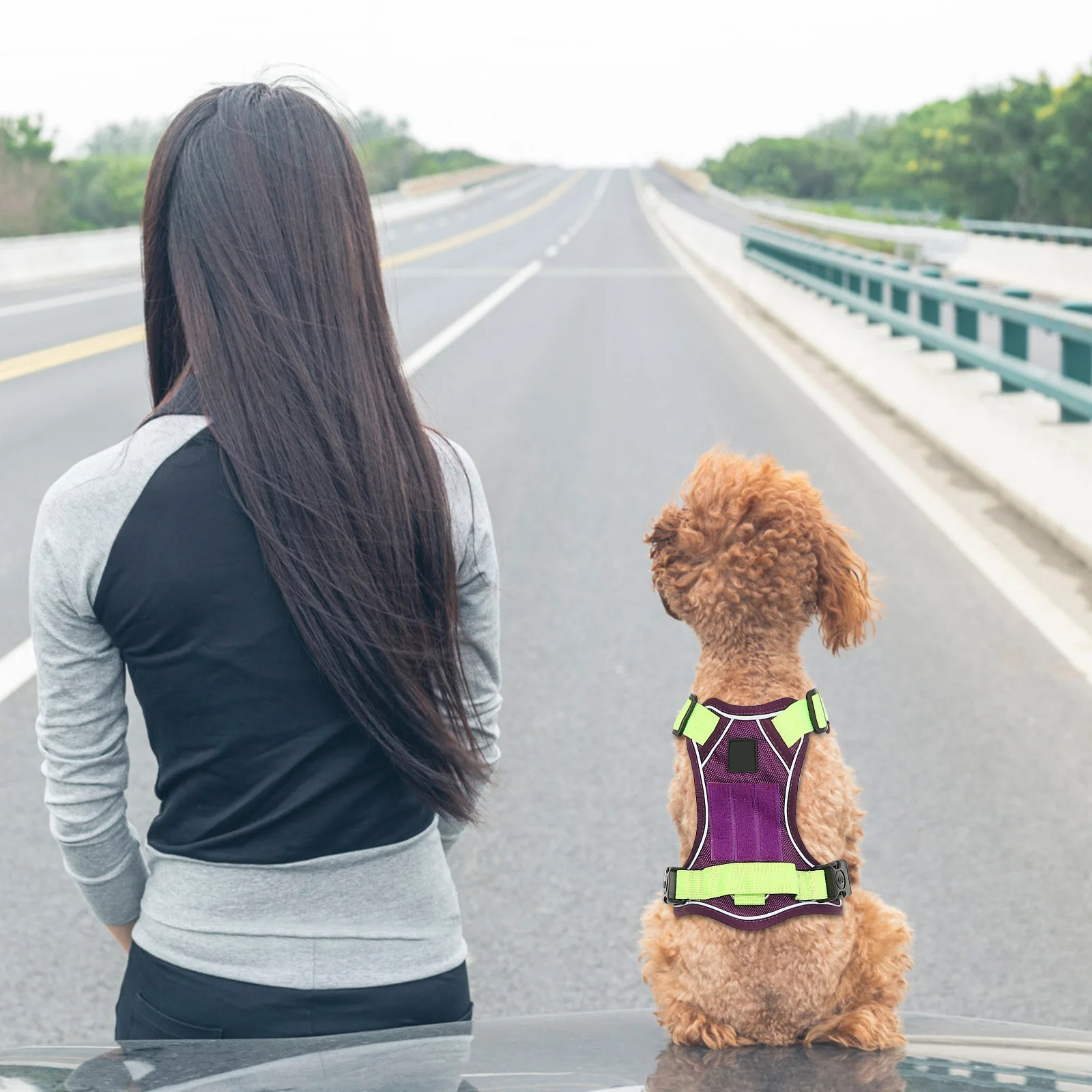 

1pcs Small For Dogs For Large Dogs Adjustable Lightweight Reflective Pet Harness Comfortable Heavy Duty Puppy Harness