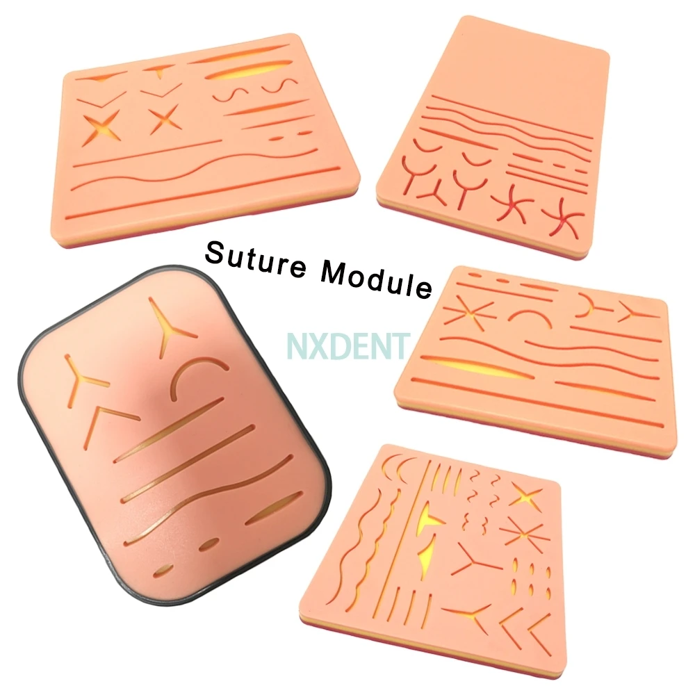 Dental Suture Model Medical Students Oral Debridement and Knotting Simulation Skin Wound Silicone Acupuncture Module