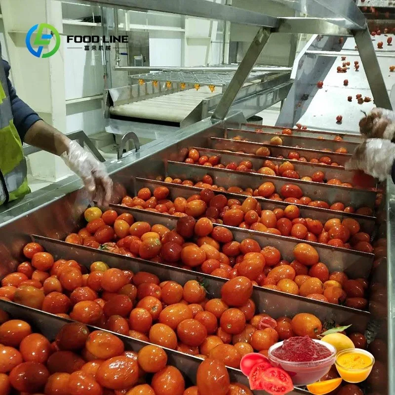 Automatic Automatic Small Scale Tomato Ketchup Production Line Plant Equipment Machine Machinery for Sale - Aliexpress Deal