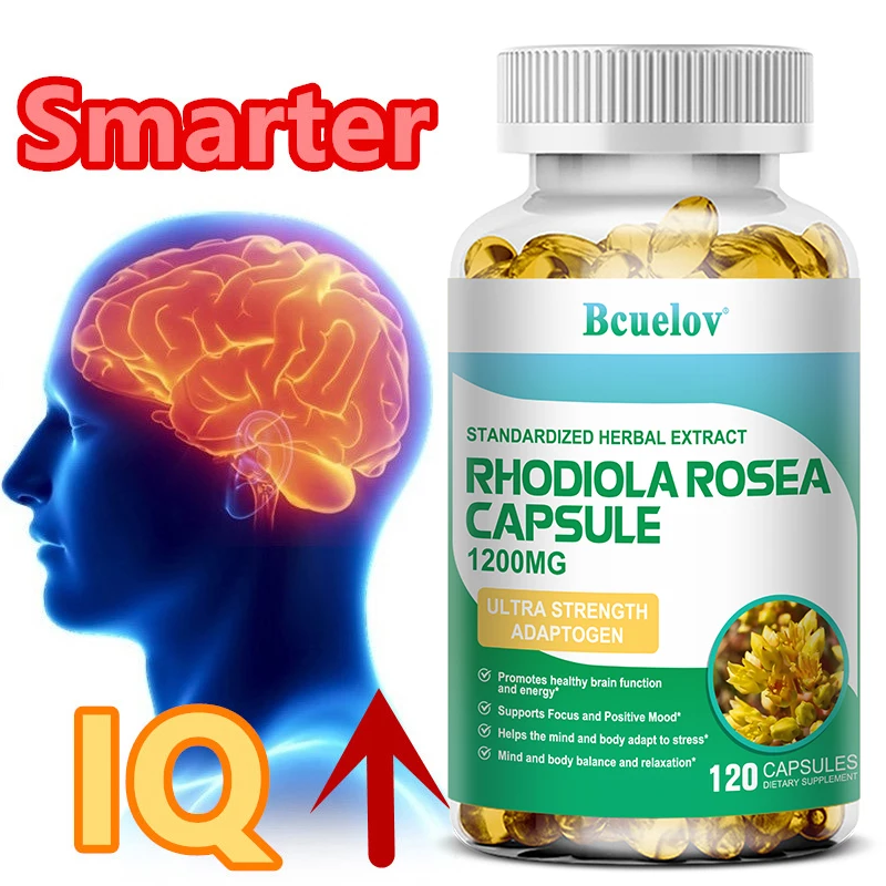 

Rhodiola Rosea Supplement - Improves Brain Function, Focus, Memory, Learning Ability, and Alertness - Vegetarian Capsules