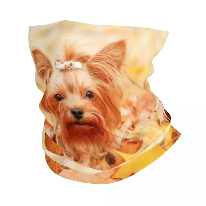 Yorkshire Terrier Dog Winter Headband Neck Warmer Men Women Hiking Hunting Tube Scarf Animal Pattern Face Bandana Gaiter