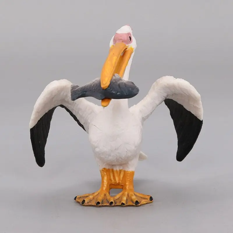 Simulation wildlife model children's toys birds gannets pelicans fish science and education props home ornaments